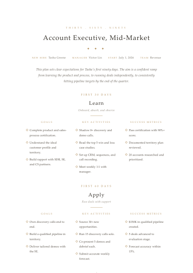 30-60-90 day plan (elegant)