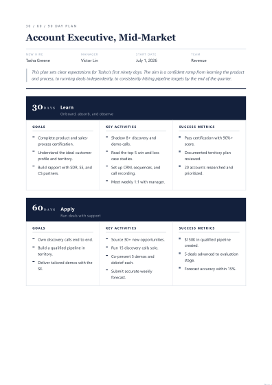 30-60-90 day plan (executive)